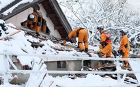 Gần 10 ngày sau động đất Nhật Bản, người sống sót chờ kế hoạch tái thiết