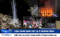 Xem nhanh 12h: Điều tra vụ cháy thảm khốc ở Định Công Hạ | Cận cảnh sinh vật lạ ở Quảng Bình