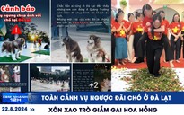 Xem nhanh 12h: Toàn cảnh vụ ngược đãi chó ở Đà Lạt | Xôn xao trò giẫm gai hoa hồng