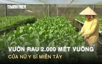 Vườn rau 2.000 mét vuông của nữ y sĩ miền Tây: Đầu tư tiền tỉ