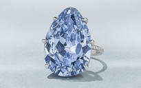 Bí ẩn màu xanh thẫm của viên kim cương quý hiếm sắp ra đấu giá