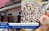 Xem nhanh 20h ngày 5.5: Lòng se điếu là gì? | Gia cảnh khó khăn của bệnh nhi vụ đóng đủ tiền mới cấp cứu