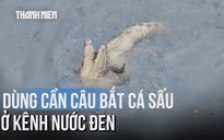 Dùng cần câu bắt cá sấu 'tung tăng' dưới kênh ở TP.HCM