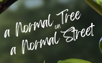 'A normal tree on a normal street' | Cuộc thi phim ngắn Vietnamese 2025