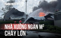 Cháy lớn nhà xưởng giữa khu dân cư tại TP.HCM, người dân hoảng hốt