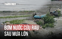 Máy bơm chạy hết công suất cứu vườn rau ngập úng ở TP.HCM