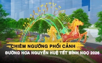 Chiêm ngưỡng phối cảnh đường hoa Nguyễn Huệ Tết Bính Ngọ 2026: 2 phiên bản ngày và đêm