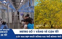 Xem nhanh 20h ngày 28 tết: Metro số 1 vắng vẻ cận tết | Lạ kỳ cây mai ‘cũng biết buồn’ ở Đồng Nai