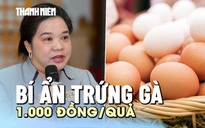 Bí ẩn trứng gà 1.000 đồng/quả, nhà sản xuất thực phẩm sạch bế tắc