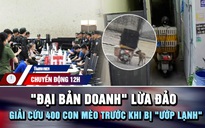 Chuyển động 12h: Bên trong 'đại bản doanh' của nhóm lừa đảo | Giải cứu 400 con mèo trước khi bị 'ướp lạnh'