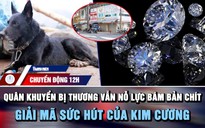 Chuyển động 12h: Quân khuyển bị thương vẫn nỗ lực bám bản Chít | Giải mã sức hút của kim cương