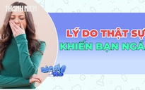 Lý do thật sự khiến bạn ngáp