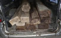 Quảng Ngãi: Vận chuyển gỗ lậu bị công an phát hiện, tài xế bỏ trốn vào rừng