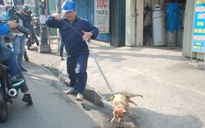 Xe bắt chó 'giả' xuất hiện: Công an Bình Tân chính thức lên tiếng