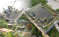 Cụ ông U90 chơi lớn đặt ao cá lên mái nhà và trồng thêm rau