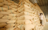Lý do Ấn Độ hạn chế xuất khẩu gạo và phản ứng của Thái Lan