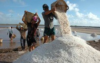 Hỗ trợ hơn 125 tấn gạo cho diêm dân
