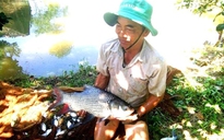 Bí quyết làm giàu: Cựu chiến binh thu tiền tỉ nhờ nuôi cá hô