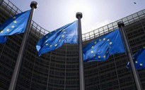 EU buộc các big tech xử lý nội dung bất hợp pháp