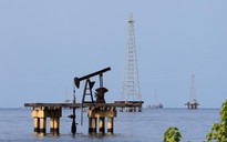 Giá xăng dầu hôm nay 16.9.2022: Lao dốc, giá dầu nhập khẩu giảm mạnh