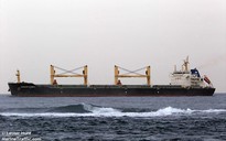 Bình Thuận đồng ý cho tàu chở than từ Indonesia cập cảng Vĩnh Tân 4