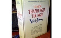 Thu hồi, tiêu hủy Từ điển Thành ngữ tục ngữ Việt Nam đạo văn