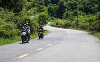 Sau tai nạn xe máy tại Sơn Trà, Đà Nẵng xây dựng phương án đóng cửa rừng