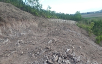 Lâm Đồng: San ủi đất rừng, chôn hàng loạt cây thông để chiếm đất