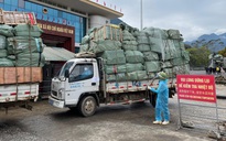 Quảng Ninh thông quan trở lại cửa khẩu Bắc Phong Sinh sau 7 tháng
