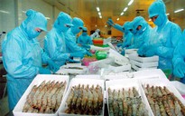 Seaprodex Sài Gòn bị buộc mở thủ tục phá sản