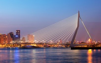 Rotterdam phá cách & Kinderdijk cổ xưa