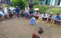 Vĩnh Long: Bắt giữ 18 người tổ chức, tham gia đá gà ăn tiền