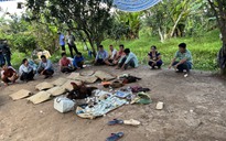 Vĩnh Long: Bắt 15 người tổ chức đá gà trong vườn bưởi, thu giữ gần 100 triệu đồng