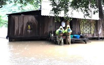 Quảng Bình: Di dời dân và hàng chục chốt bảo vệ rừng để tránh mưa lũ