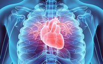4 thói quen xấu làm tăng nguy cơ đau tim sau tuổi 40