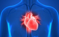 Tại sao F0 khỏi bệnh cần cẩn thận với nguy cơ đau tim và đông máu?