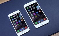 iOS 14 sẽ hỗ trợ tất cả thiết bị tương thích với iOS 13