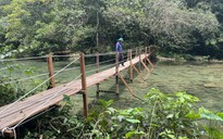 Quảng Bình: Dừng hoạt động 2 ‘khu du lịch’ khai thác trái phép trong rừng phòng hộ