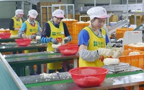 Hàn Quốc miễn xử phạt lao động Việt cư trú bất hợp pháp tự nguyện về nước