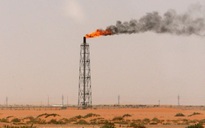 Các nước sản xuất dầu 'đốt' hơn 300 tỉ USD dự trữ