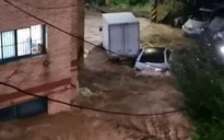 Thảm kịch gia đình trong căn nhà bán hầm khi mưa ngập Seoul
