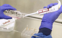 Lần đầu tiên truyền máu nuôi trong phòng thí nghiệm cho người