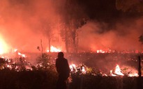 Cháy rừng ở Vườn quốc gia Phú Quốc