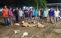 Kiên Giang: Triệt phá tụ điểm đá gà, bắt giữ 14 người