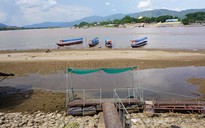 Khốc liệt hạn mặn, sông Mê Kông 'trơ đáy'