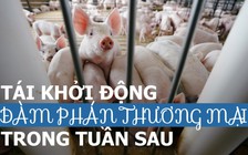 Mỹ - Trung sẽ tái đàm phán thương mại trong tuần sau