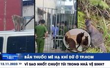 Xem nhanh 12h: Vì sao nhốt chuột túi trong nhà vệ sinh | Diễn biến vụ ‘thi thể trong bao tải’ ở Vĩnh Phúc