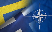 Đại sứ Mỹ tại NATO: Ukraine chưa thể sớm gia nhập vì xung đột