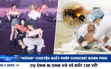 Xem nhanh 12h: Lại ‘nóng’ chuyện đêm diễn của BlackPink | Cụ ông bị ong vò vẽ đốt 120 vết