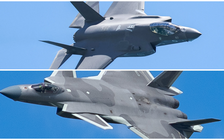 So tài chiến đấu cơ thế hệ 5: J-20 có ngang sức F-35?